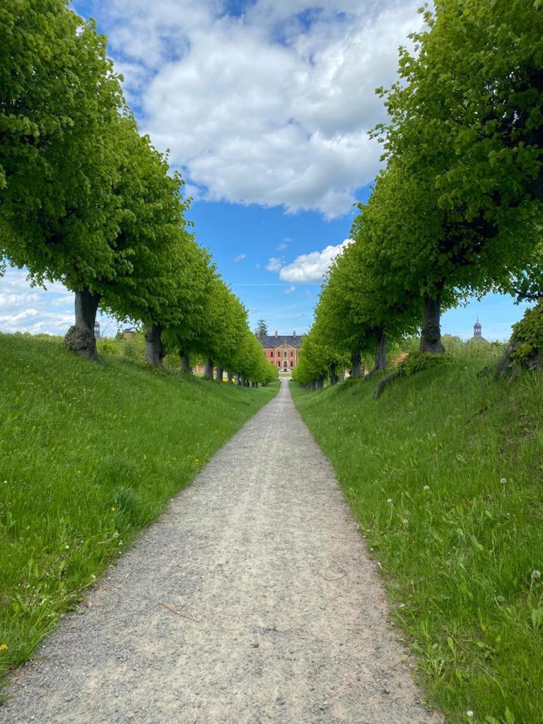 Ferienwohnung Uta Grundshagen Bagian luar foto