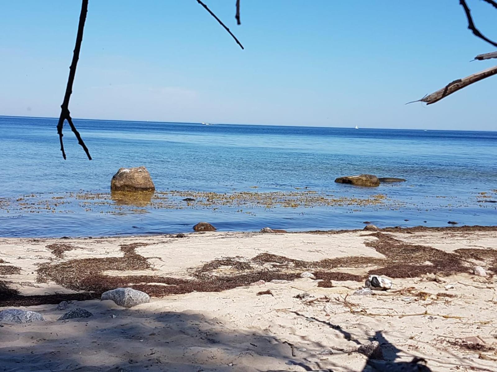Ferienwohnung Uta Grundshagen Bagian luar foto