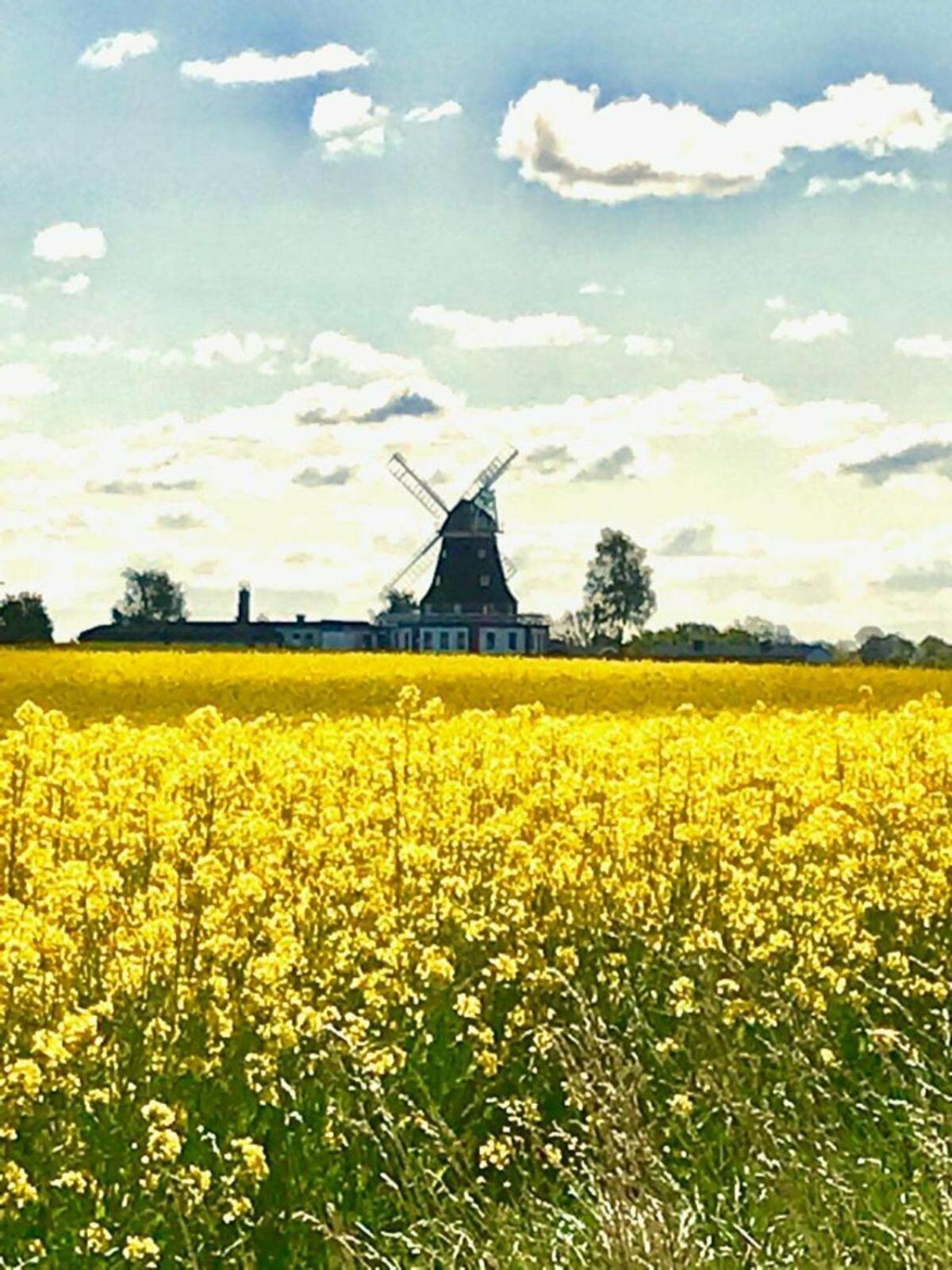 Ferienwohnung Uta Grundshagen Bagian luar foto